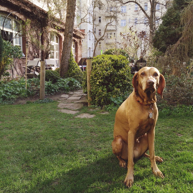 2015-04-0905.20.142.jpg - 