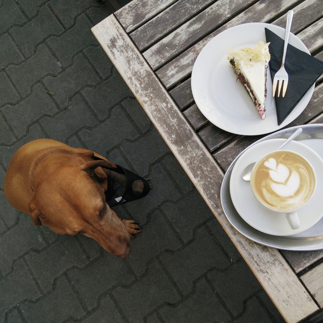 2015-04-1012.24.072.jpg - 