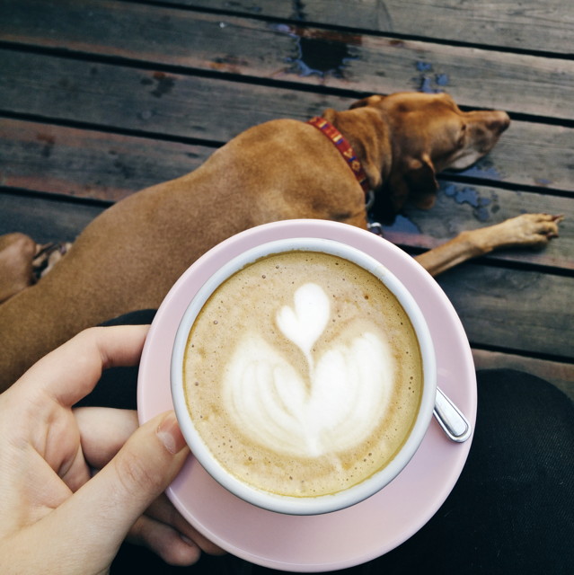 2015-04-1610.35.342.jpg - 