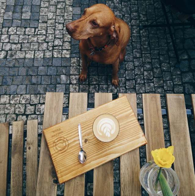 2015-04-1610.36.192.jpg - 