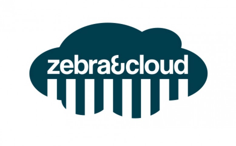 Zebra and Cloud