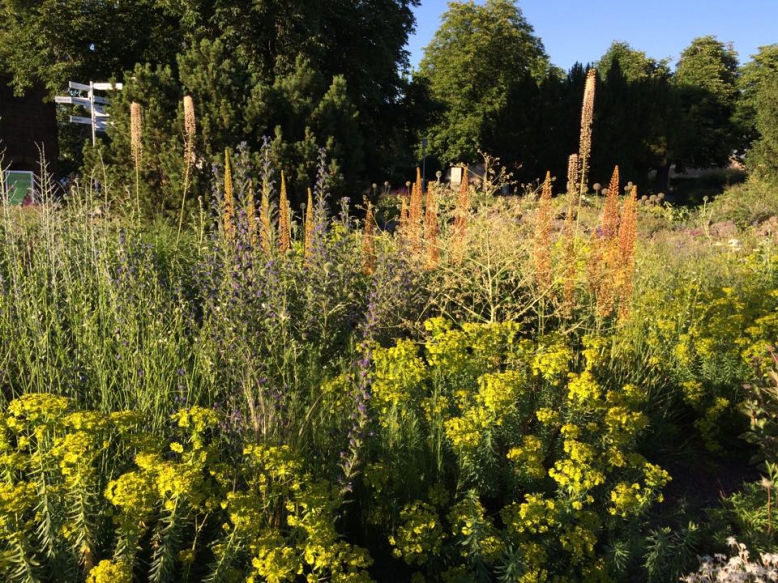 Společnost pro zahradní a krajinářskou tvorbu