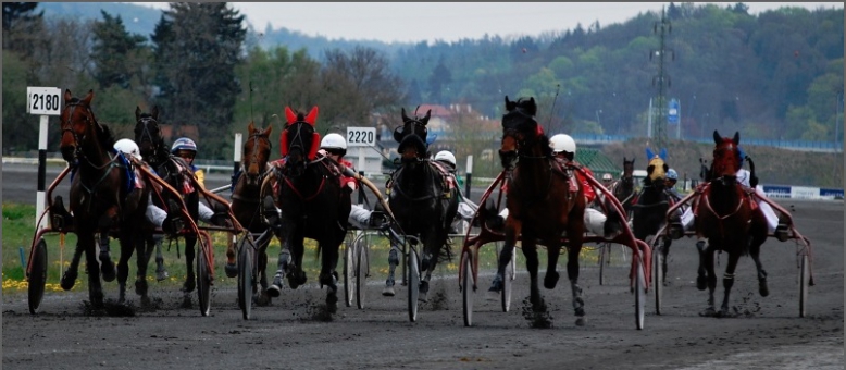 Český klusácký spolek