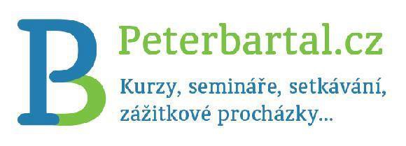Peter Bartal agency