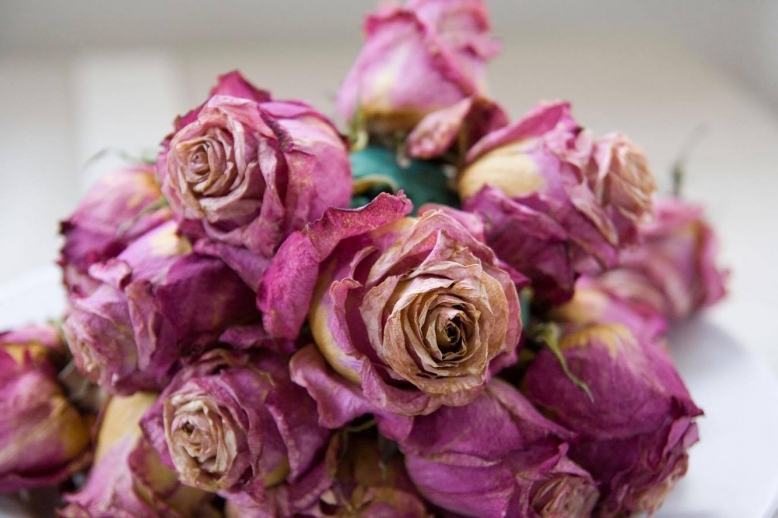 ReFleur