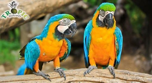 Expedice ZOO