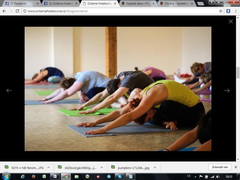 Octárna Holešovice