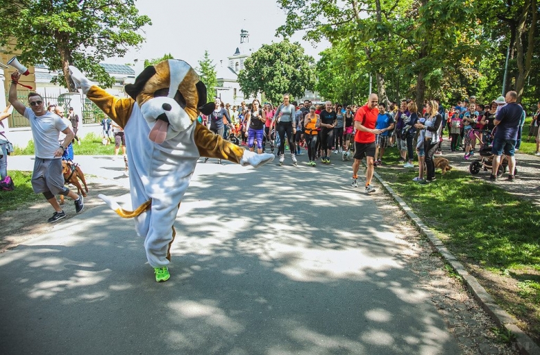 Běhejme a pomáhejme útulkům