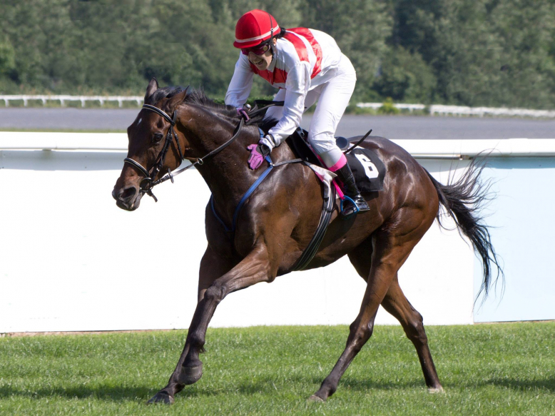 Střední škola dostihového sportu a jezdectví Praha - Velká Chuchle