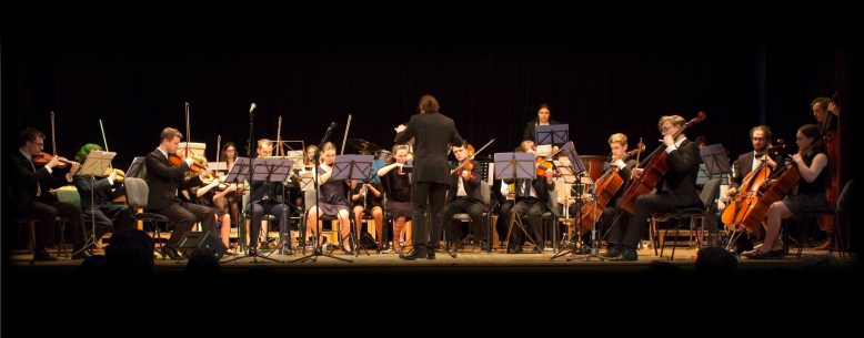 Symfonický orchestr Dalibora Havlíčka