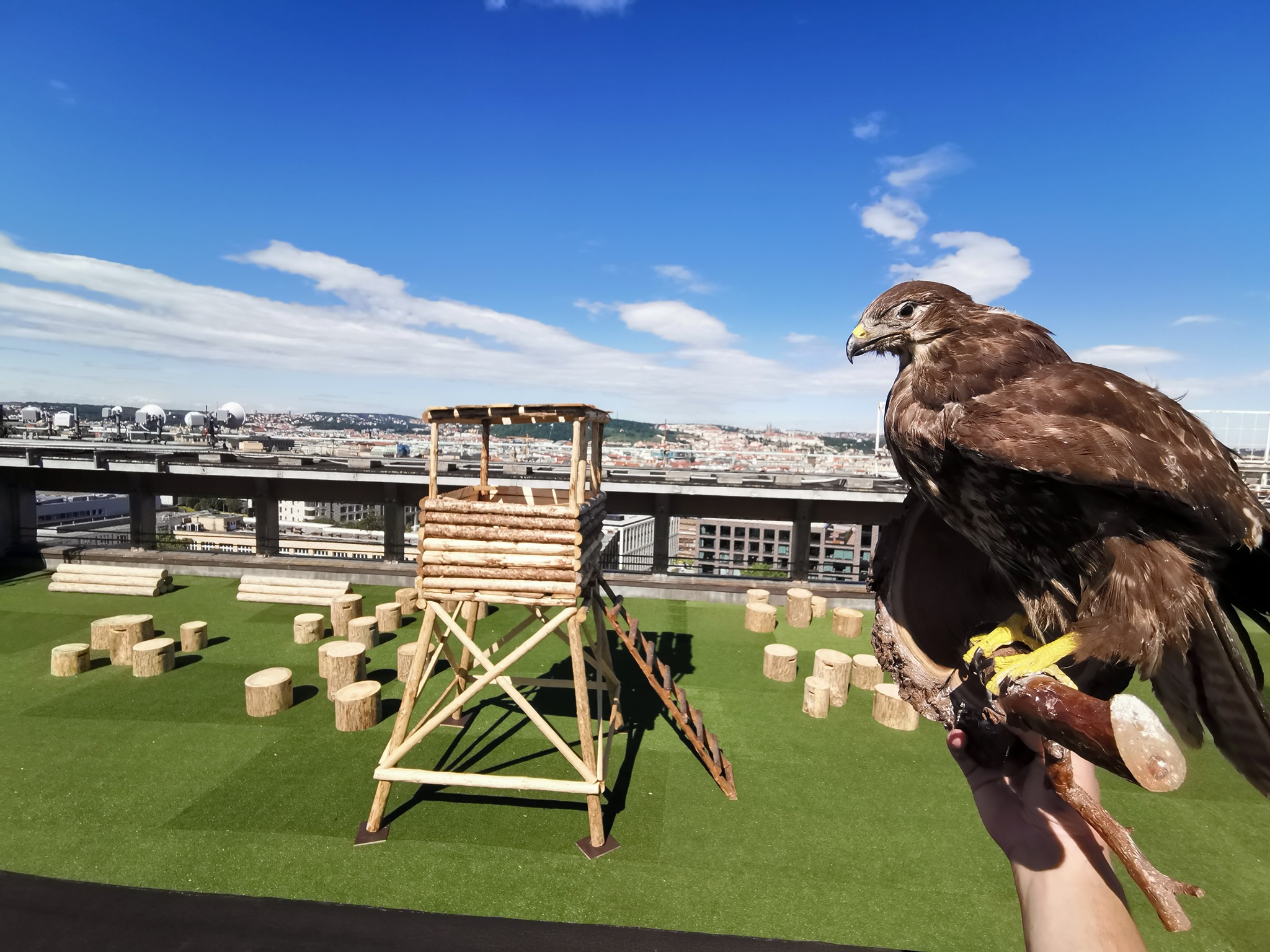 Vyhlídkový bar na střeše Radosti