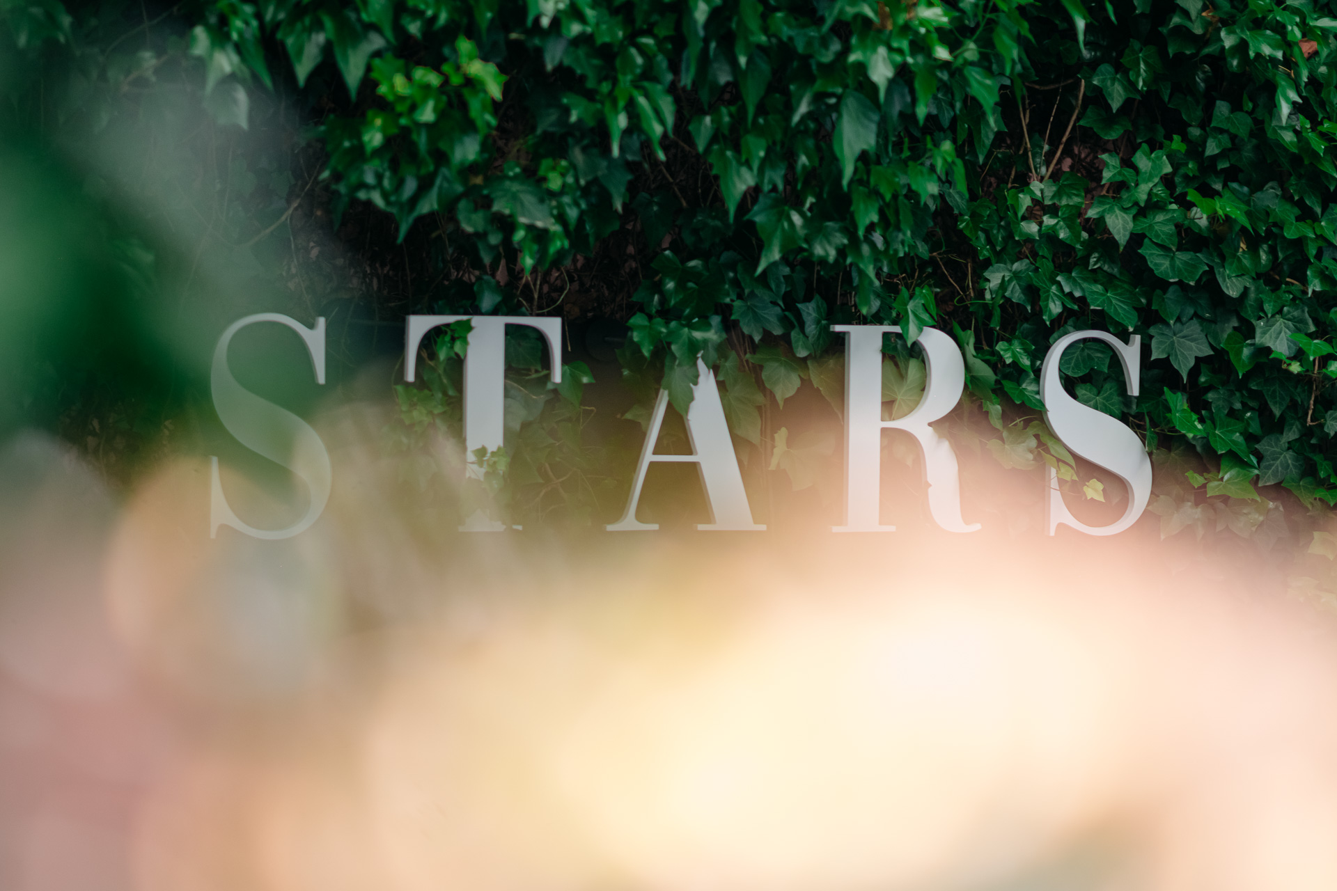 Stars Lovers & Friends