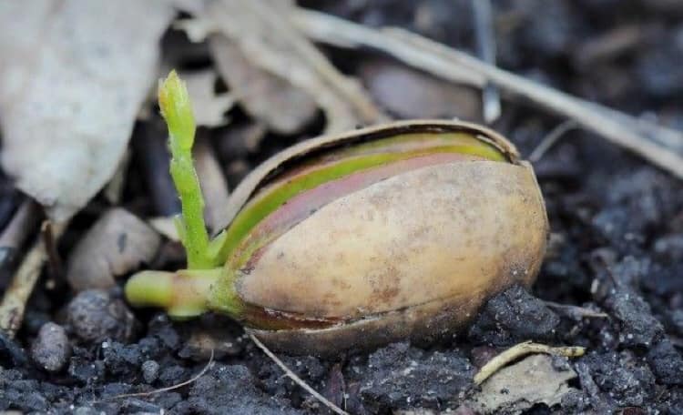 Komunitní centrum L.E.S.