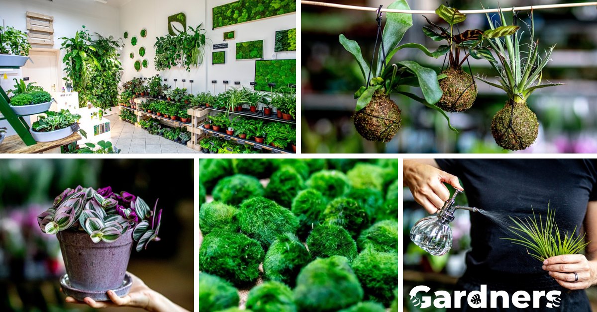 Gardners.cz - Zahrada na stěnu