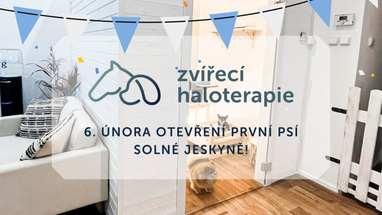 Psí solná jeskyně