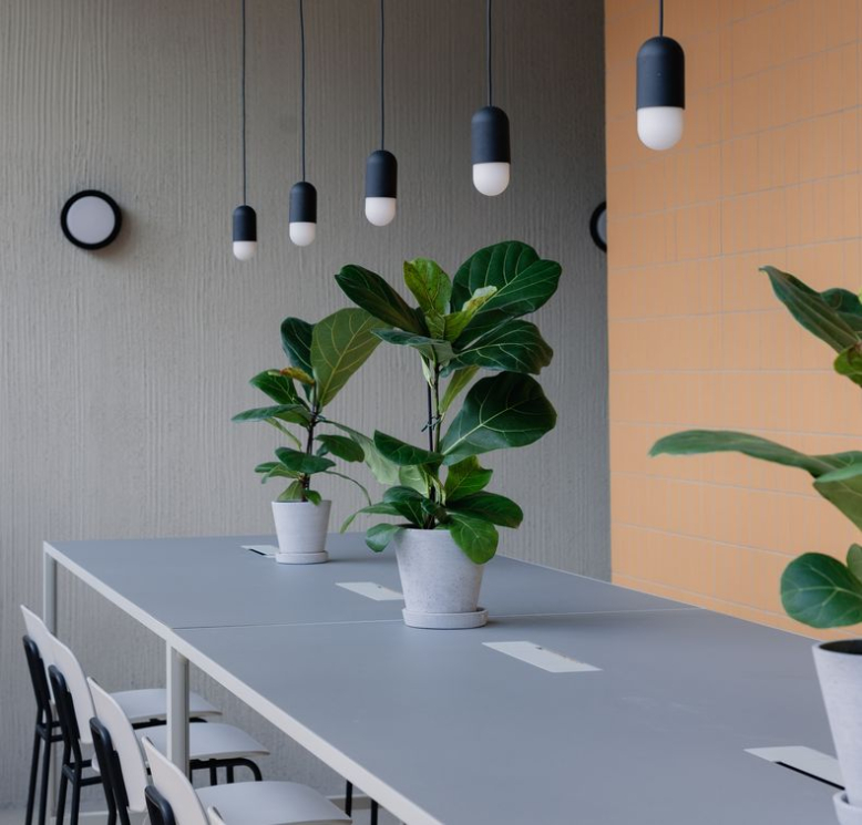 The Miners Bakery - Sokolovská