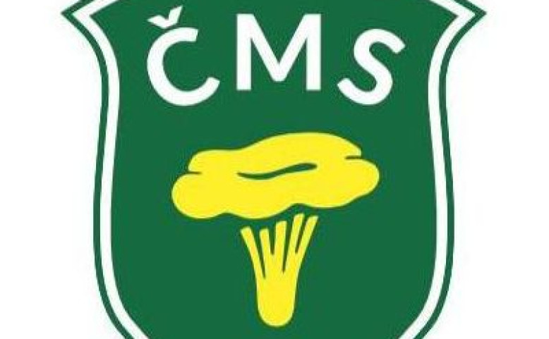 card_cms-logo_1727208808.jpg