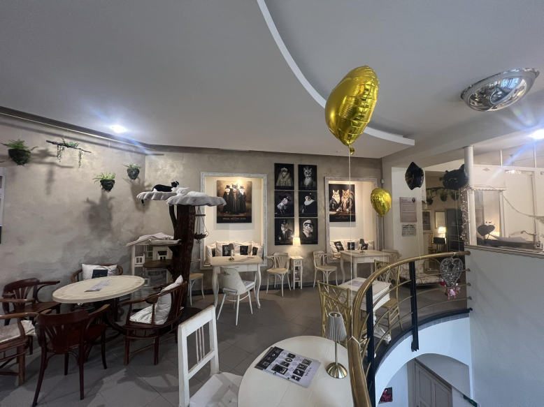 Kočičí kavárna, ta ze Smíchova