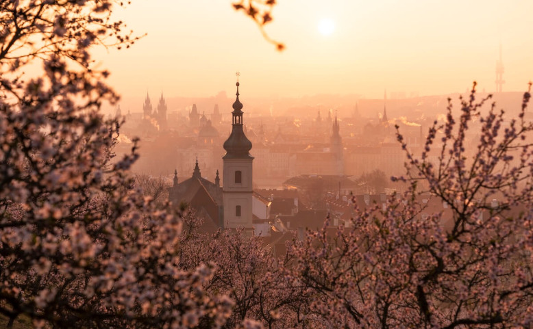 Pražské výhledy