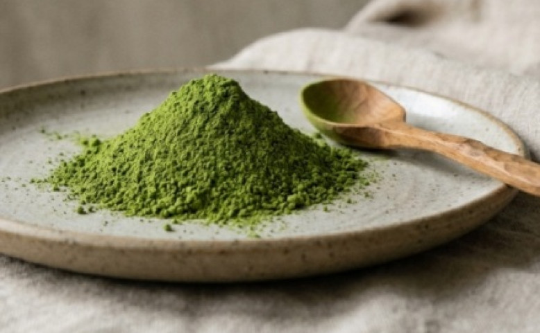 UC Matcha Malá Strana