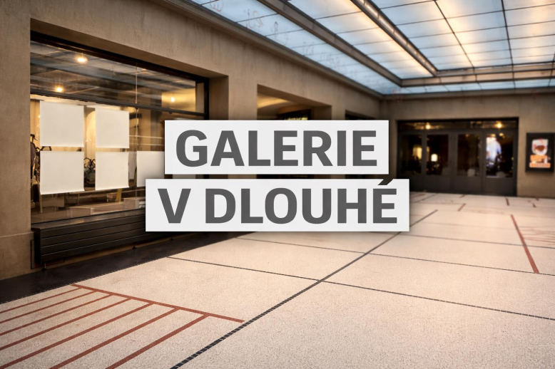 Galerie v Dlouhé