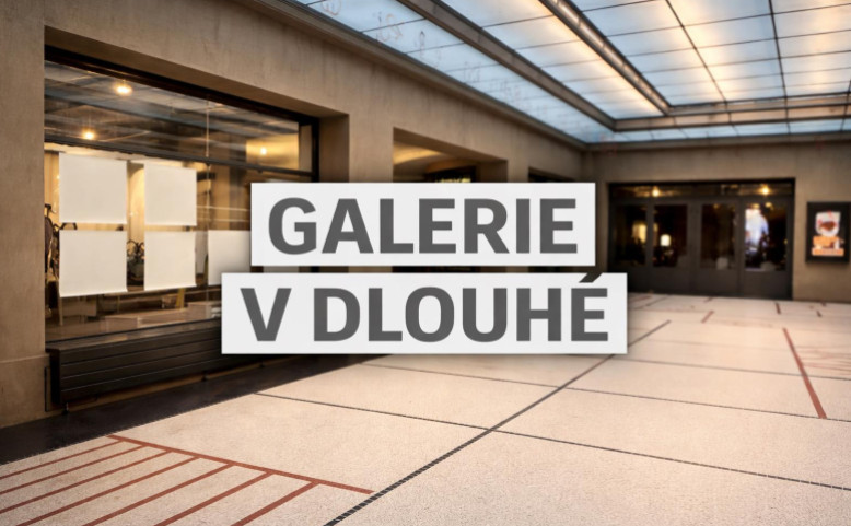 Galerie v Dlouhé