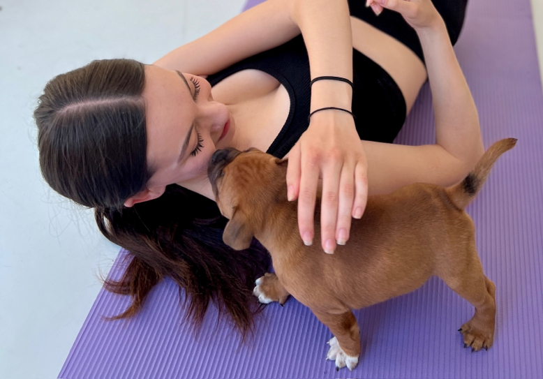 YogaPets