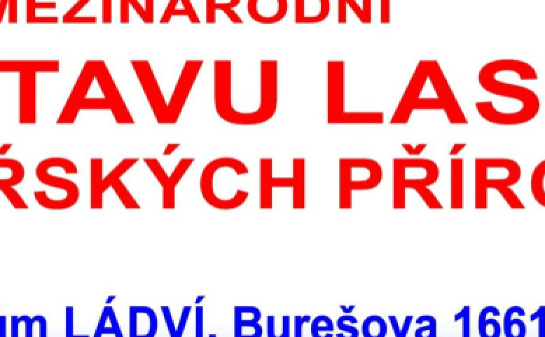 card_avystava-lastur_1791532047.jpg