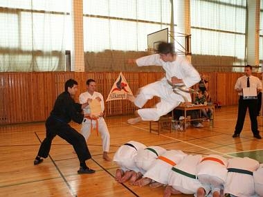 Allkampf-jitsu