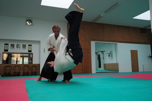 Sei Aikido Dojo