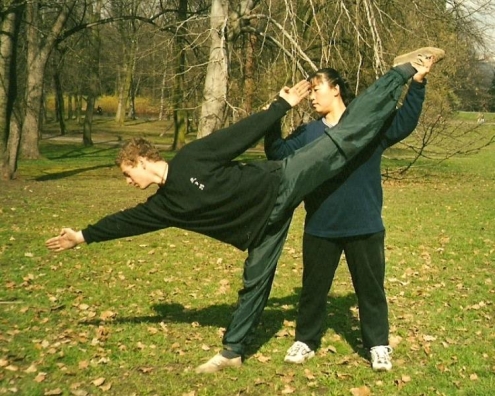 Zhai Hua Wushu Institute