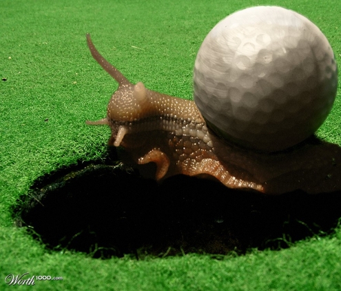 Golf Snail