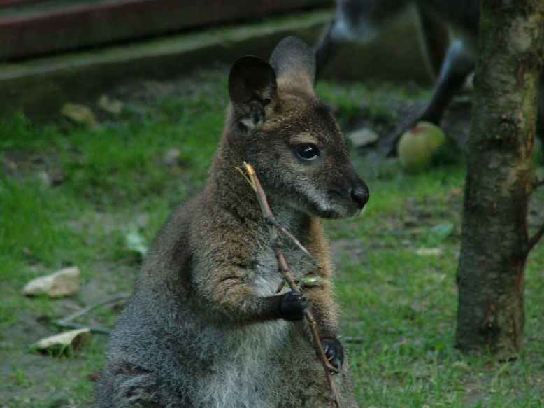 Dům dětí a mládeže - Stanice přírodovědců