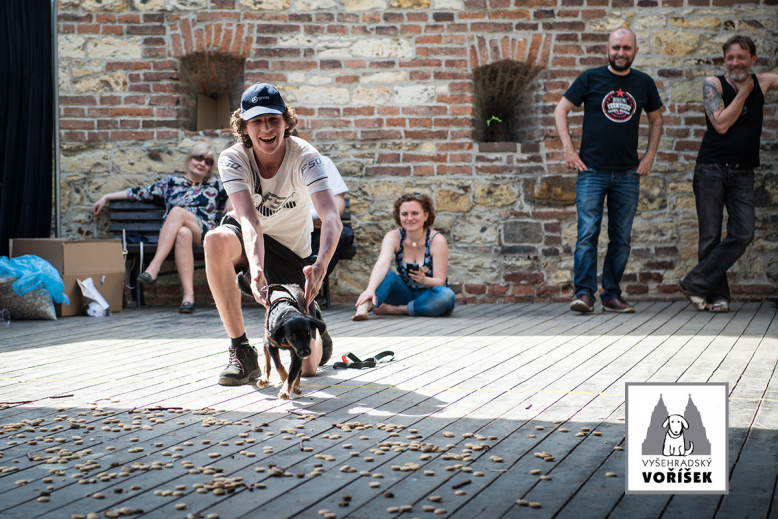 Vyšehradský voříšek