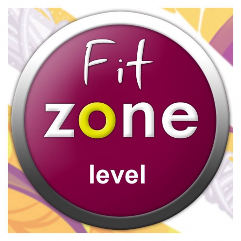 FitZone Level