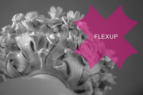 Flexup