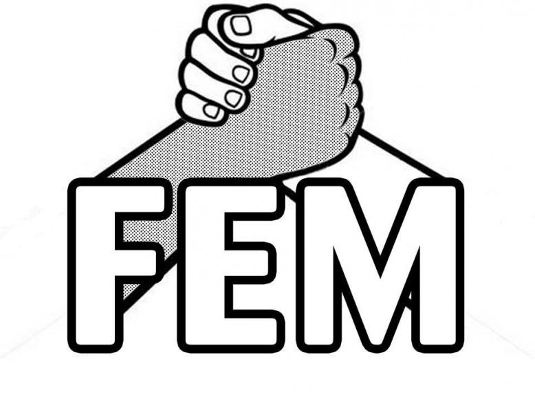 Feministická společnost UK