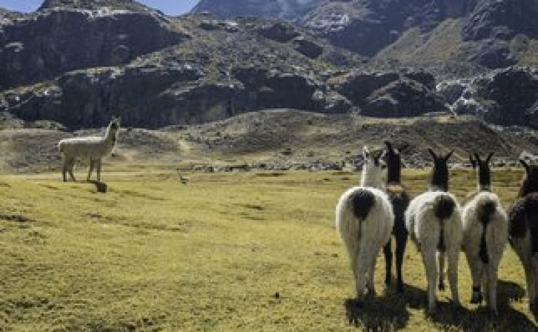 Nejkrásnější treky Bolívie