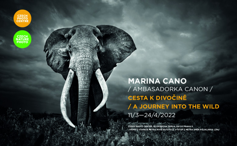 Výstava - Marina Cano – Cesta k divočině