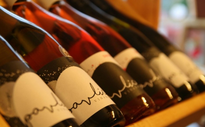 Řízená degustace Vinařství Pavlica (Zaječí)