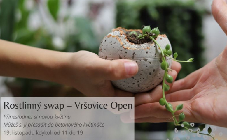 Rostlinný Swap – odnes si novou rostlinu v betonovém květináči