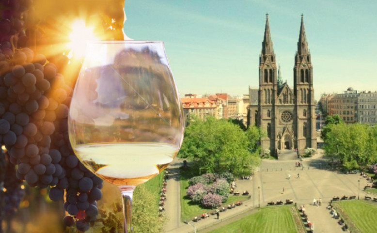 Vinobraní 2024 na Náměstí Míru