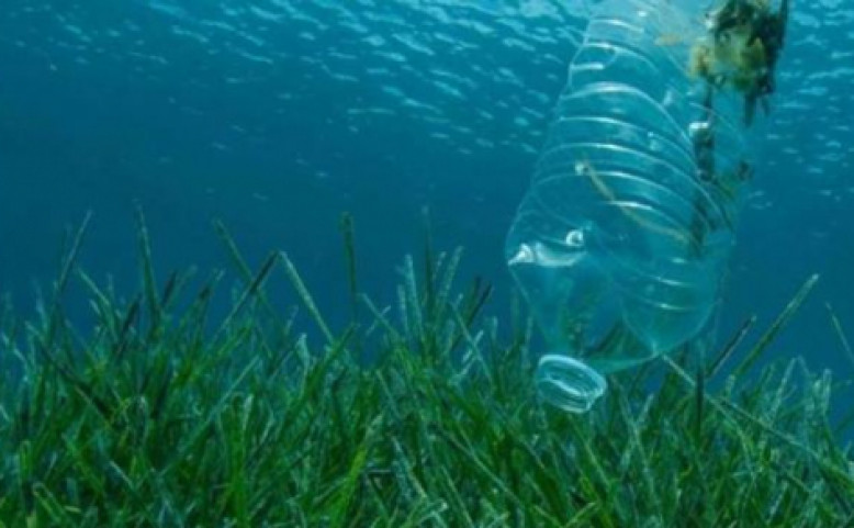 VŠE bez odpadu: promítání filmu A Plastic Ocean