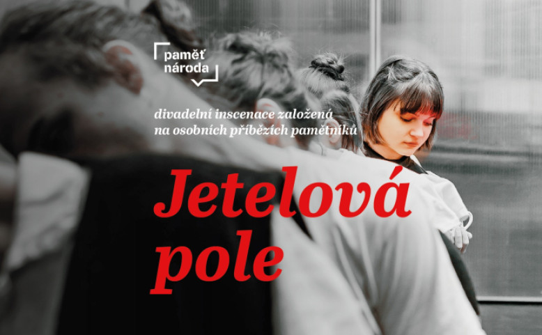 VYPRODÁNO: Paměť jsme my 2025 / Jetelová pole