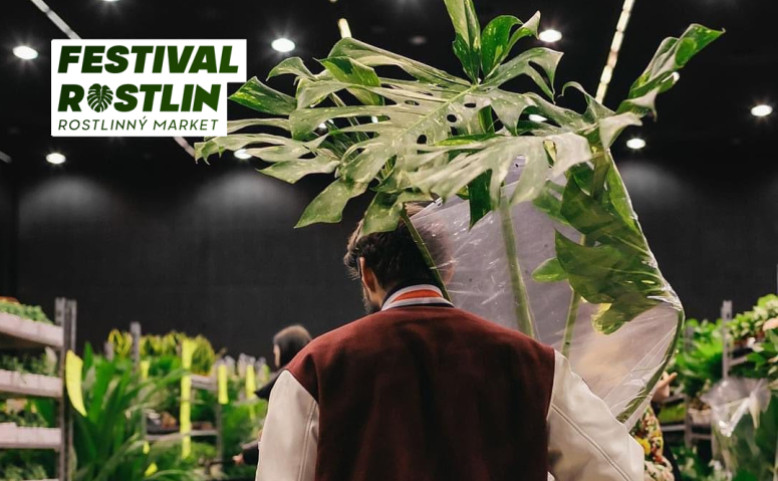 Výprodej rostlin z Festivalu Rostlin