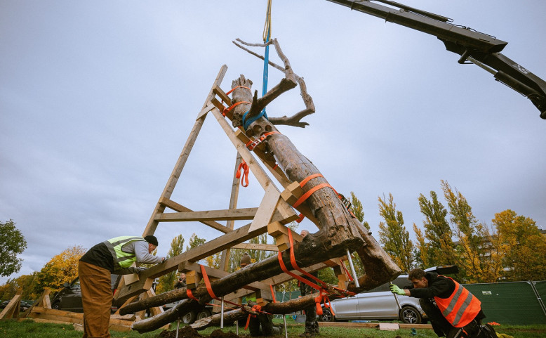 Praying Wood | Instalace Krištofa Kintery