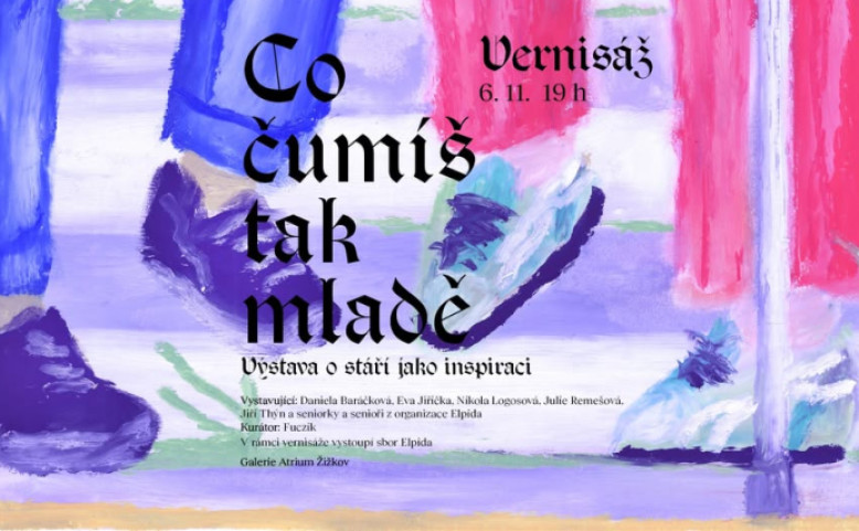 Vernisáž: Co čumíš tak mladě: výstava o stáří jako inspiraci