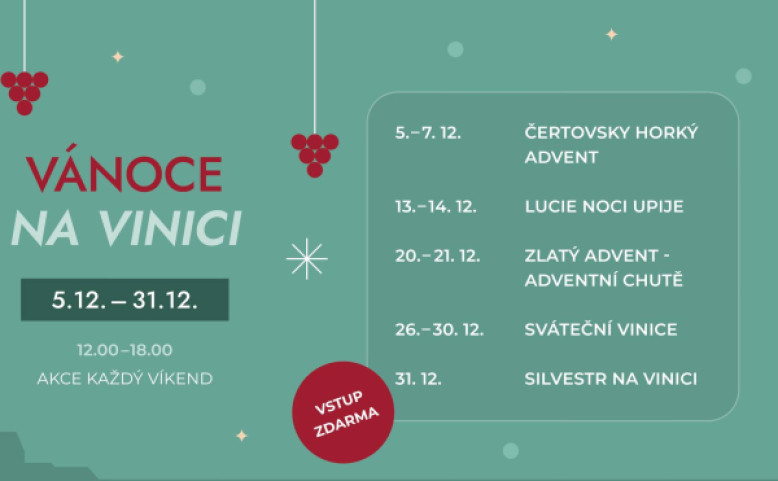 Vánoce na vinici
