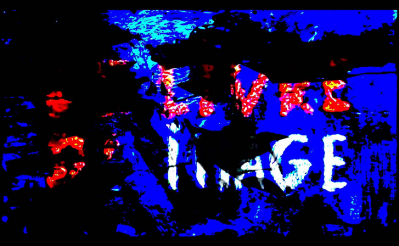 Godard / Kniha obrazu