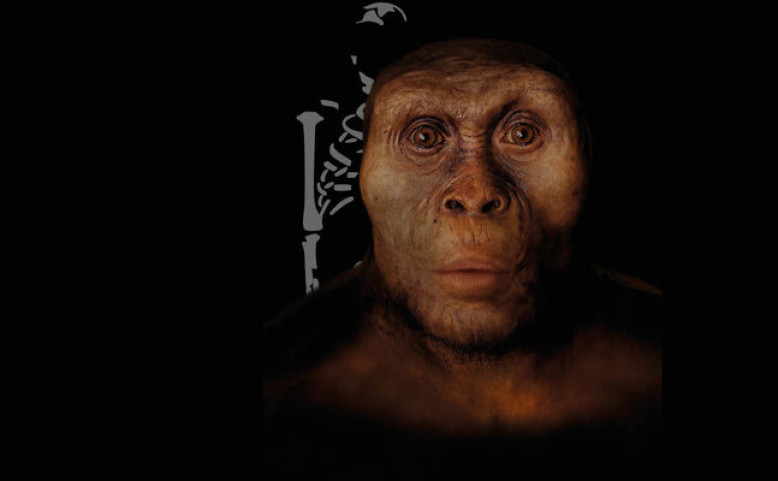 Lidé a jejich předci s originály fosilií Lucy a Selam